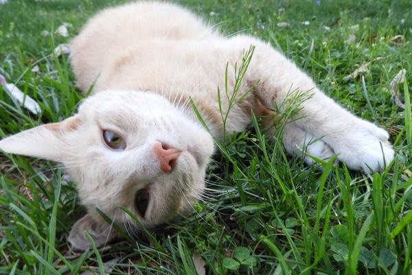 2007年的水瓶座男生与女生的性格特点