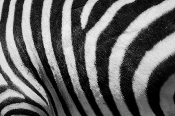 农历二月出生女多金 发展前景可观可顺风顺水