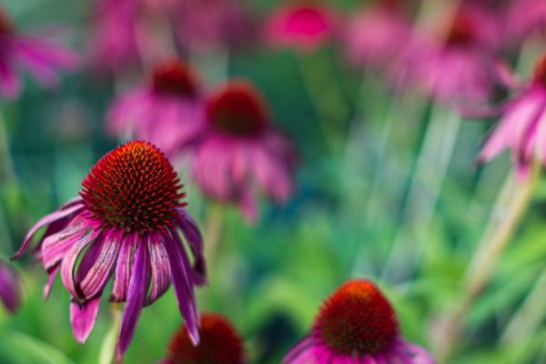 1990年的水瓶座男女详细分析性格与命运