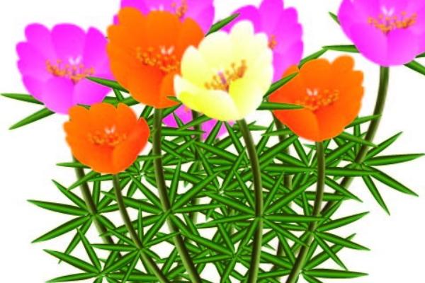 十二星座谁是最佳员工 拼命三郎or职场铁公鸡