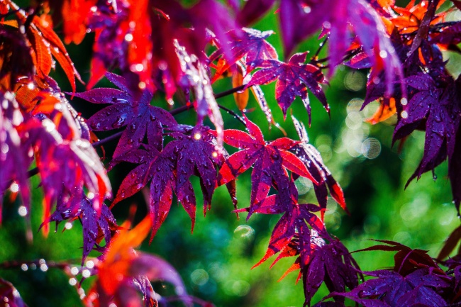 当心家暴 脾气最臭的3大星座男