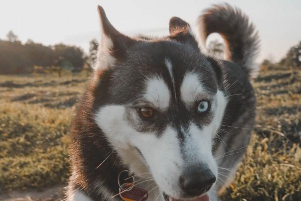 简单好听的搬家公司名字 搬家公司名字大全最新