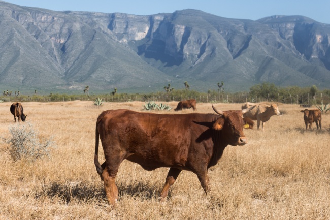 2023年4月3日开业吉利吗 今日开业则五香美馔万般风情