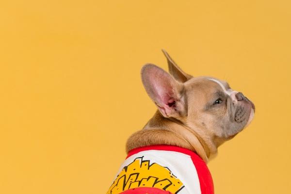 2023年摩羯座桃花运8月运程详解 该如何改善