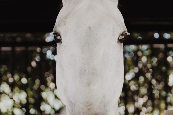 2个字搬家公司的名字 搬家公司名称比较好记的