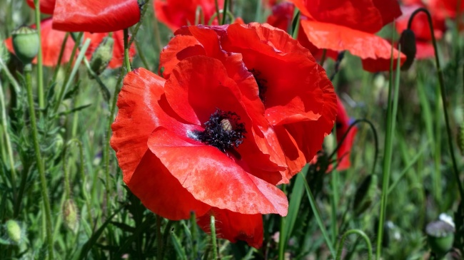 2023年3月13日宝宝出生的八字 上等身坐正官正印必主官贵