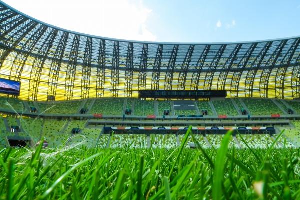 身弱甲木在进入2023年运势 姻缘怎么样