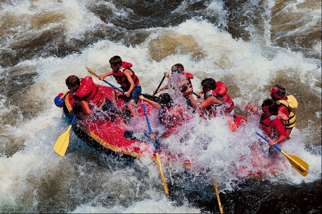 金牛座2023禁忌颜色是什么 幸运色是什么