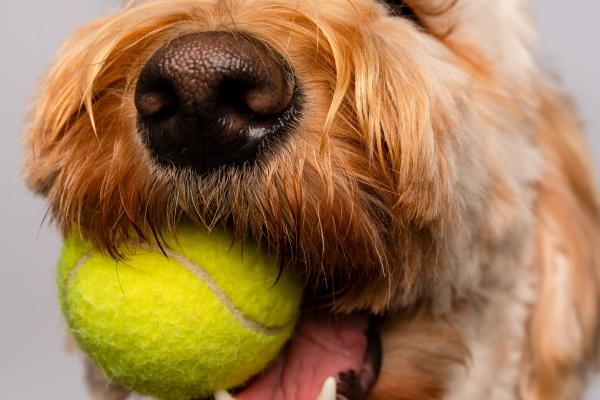 教师节出生的人是什么星座 这个星座有什么特征