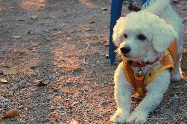 水瓶座2023年爱情运11月情况 总体向好  　　