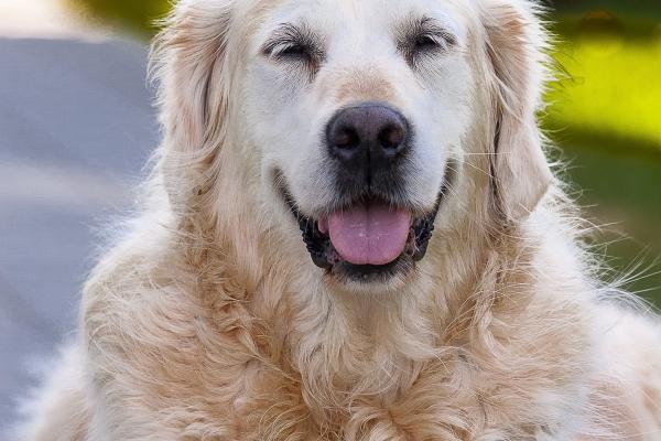 2023年3月22日财神方位表 黄历查询