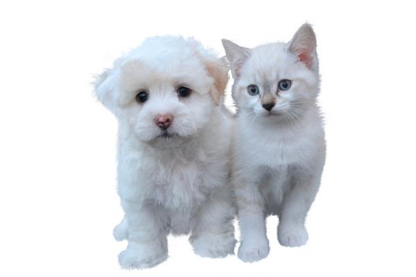 最抠门的三个星座 一块钱当成两块钱来用