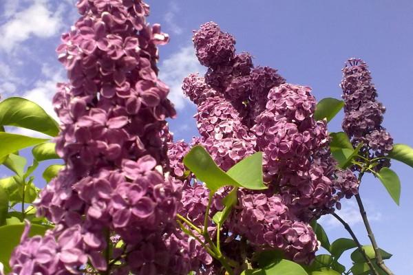 2023年3月16日出生的宝宝五行属性 今天五行如何解析