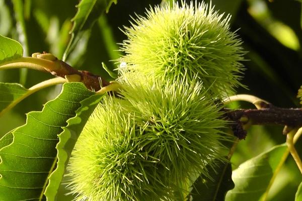 2023年3月28日财神方位查询 什么方向最吉利