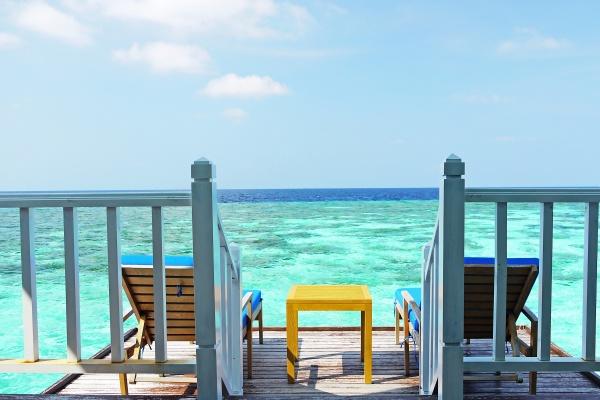 狮子女分别是什么气质美人 事业女强人