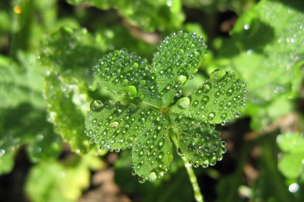 2023年四月份哪天结婚好 本月适合办婚礼的日子