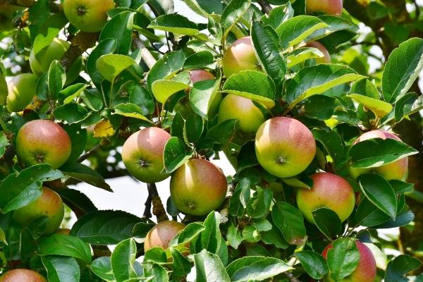 2023年三月份搬家黄道吉日 乔迁的注意事项