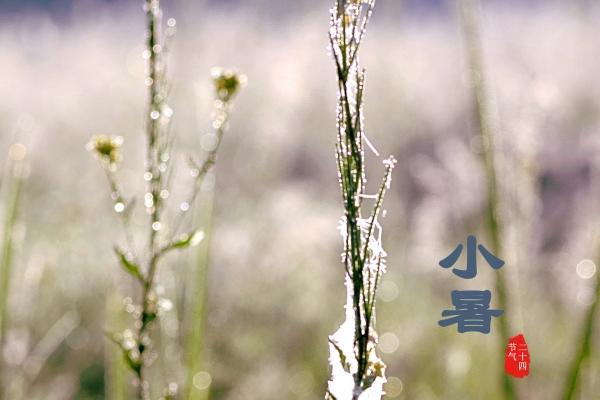 2023年什么星座好 财运大幅度提升