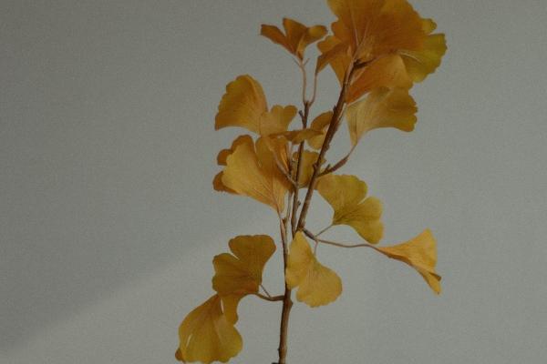 2023年4月出生的宝宝是什么命 运势怎么样