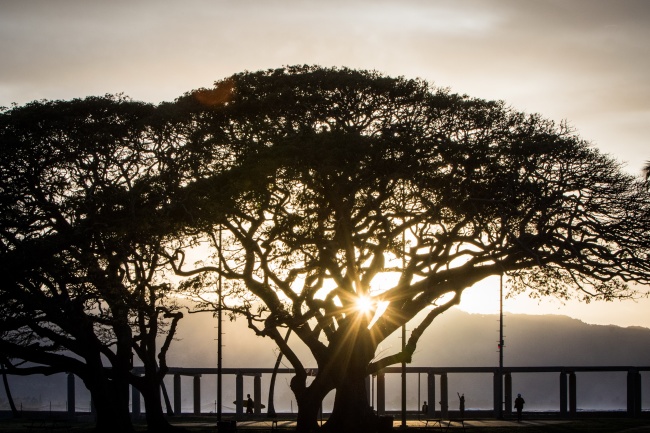 闹闹女巫  最得意忘形又最难被干掉的星座