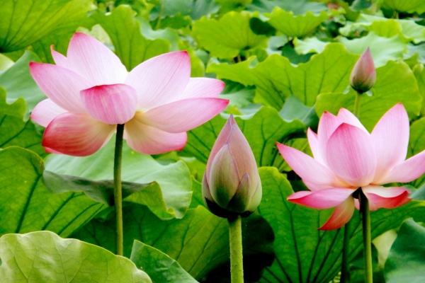 大气装修公司名字大全 有艺术感的装修公司名字