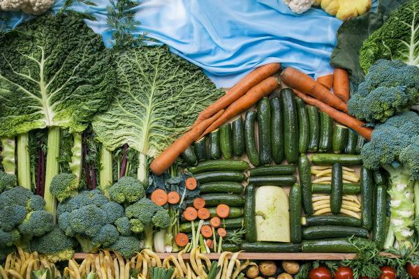 狮子座2023年10月 财运走向