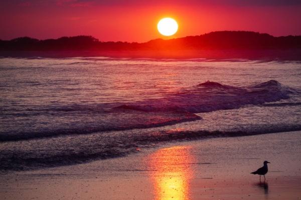 属兔容易当官的时辰 午时出生则天喜吉星的照耀家业昌隆