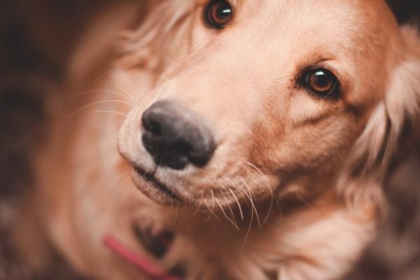 双子座2023年桃花运10月情况 和旧爱重逢