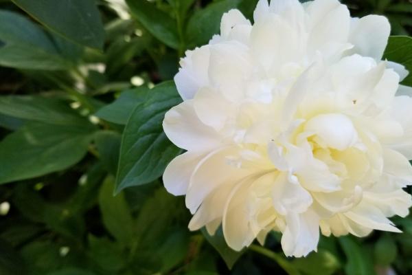 2023年闰二月搬家好不好，2023年闰月搬家要注意什么