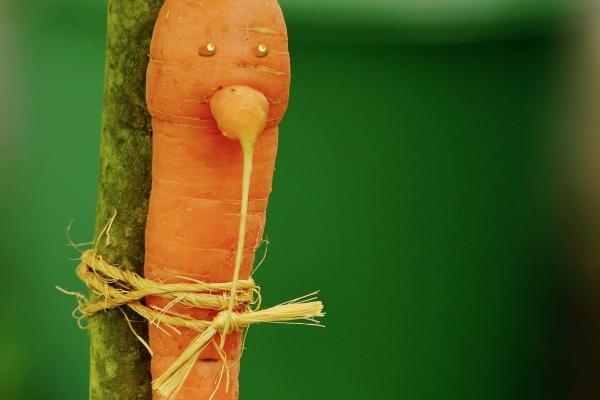 金牛座今日运势2023.02.18日