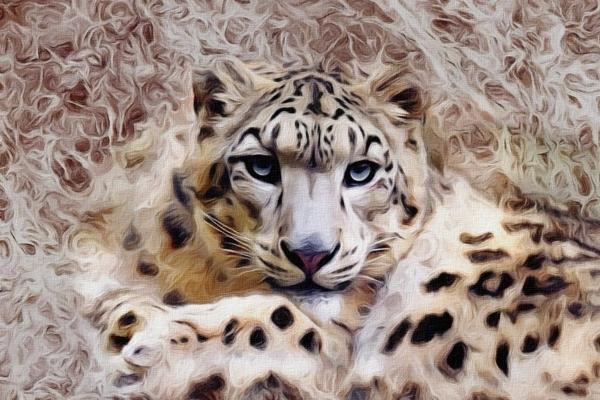 为什么不建议生2023年兔宝宝 2023年为什么是黑兔年