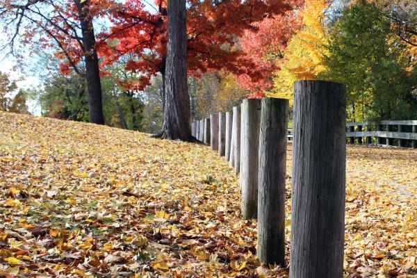 身上有许多痣的女人 一生命运发展较为顺利