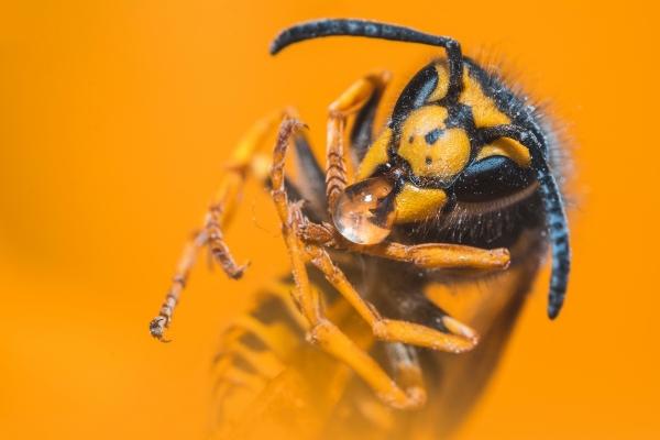 2023闰月年不宜做的事，2023闰月年的十大禁忌