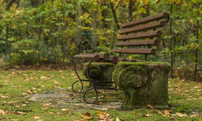 水瓶座2023年3月运势 第一星运