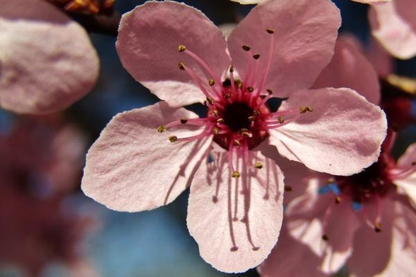 2023年4月11日领证结婚好吗 今日结婚能否百年好合兮鸳鸯比翼