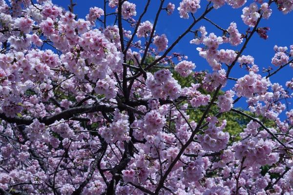 判答 金牛座本周运势详解2.20-2.26