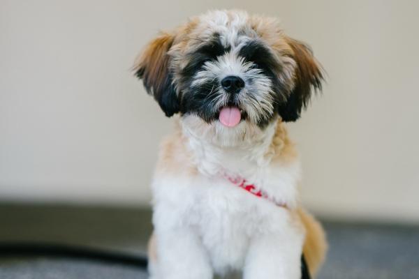 找对象就该找他们!这3星座对爱情格外痴心,一辈子就认定一人