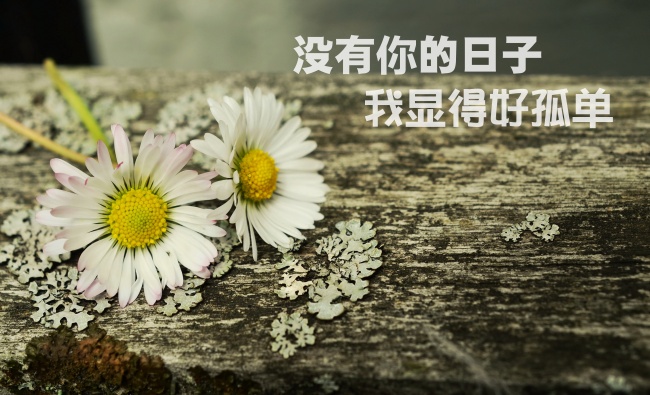 女命最不守妇道的日柱 不能娶的日柱女分析