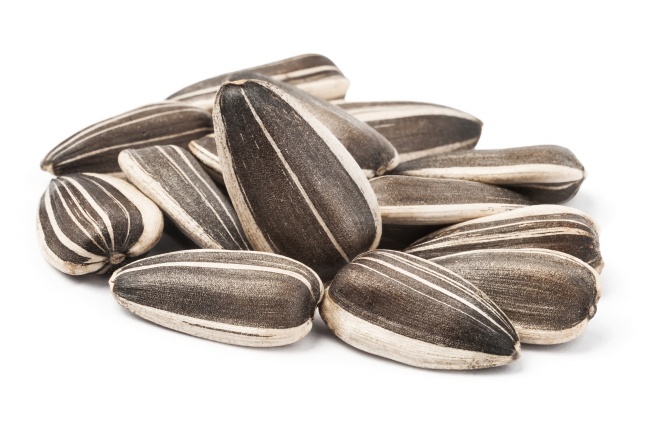 摩羯座会和前任复合吗，摩羯座还爱前任的表现