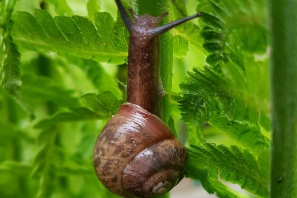 判答 摩羯座本周运势详解2.20-2.26