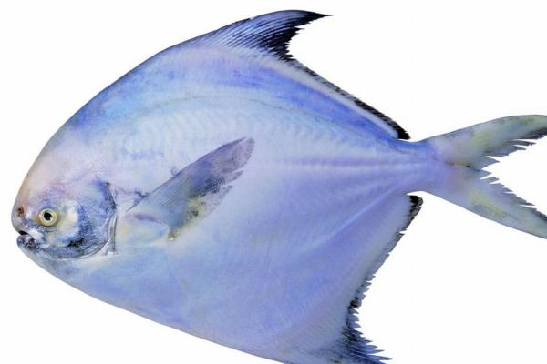 做生意必定红火的名字2023年 新颖时尚 有吸引力