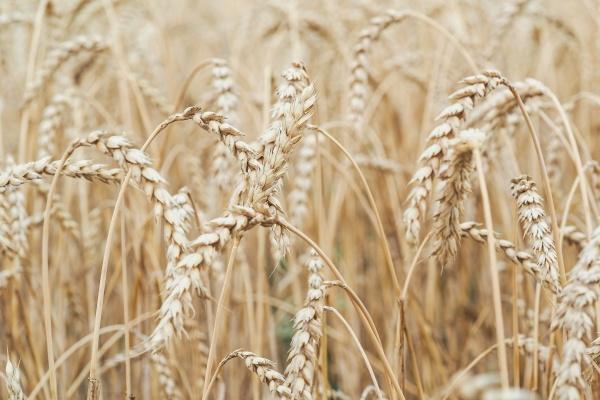 霸气又聚财的装饰公司名字大全 独特的装饰公司名字