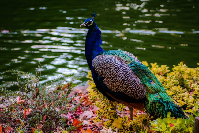 2023年金牛座财运9月运程详解 处于理想状态