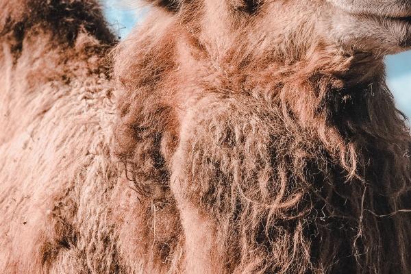 2023龙抬头是好日子吗 23年龙抬头是哪一天