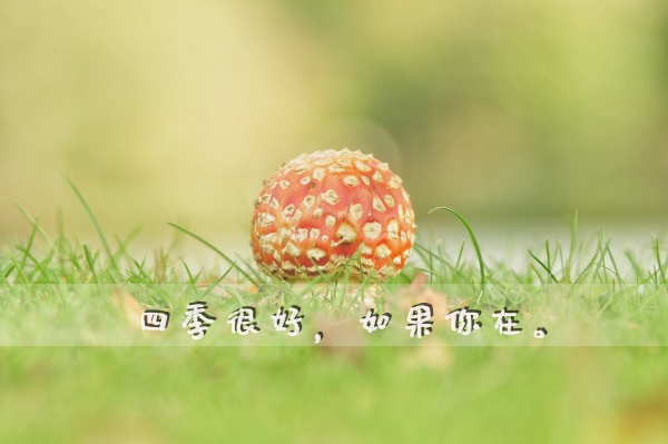 艾菲尔 金星移宫！你开春的【爱情婚姻】是好是坏？