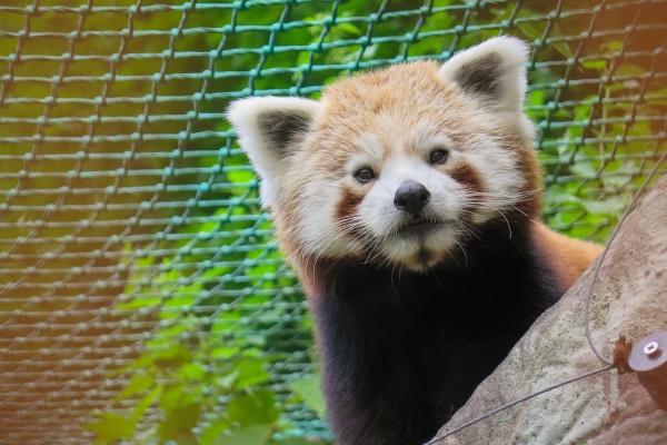 狂月天时 每日星座运势0222