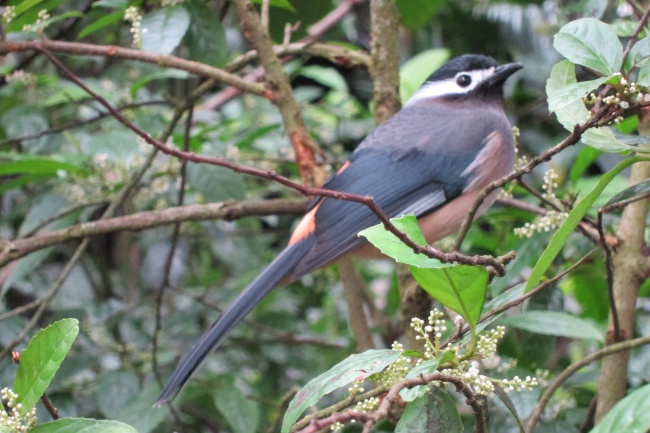 苏珊大妈天蝎座2023年3月运势详解