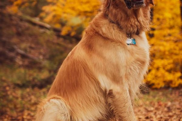 在爱情里太缺乏安全感,总渴望被人宠爱和偏爱的3星座