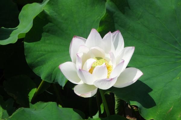 2023年4月6日财神方位 财神在什么方向