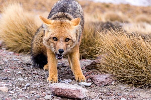 狂月天时 每日星座运势0227
